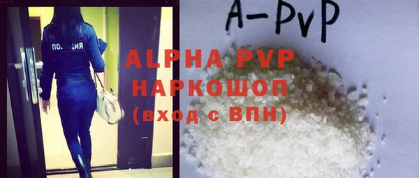 стаф Бородино