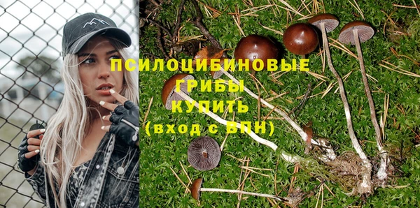 стаф Бородино